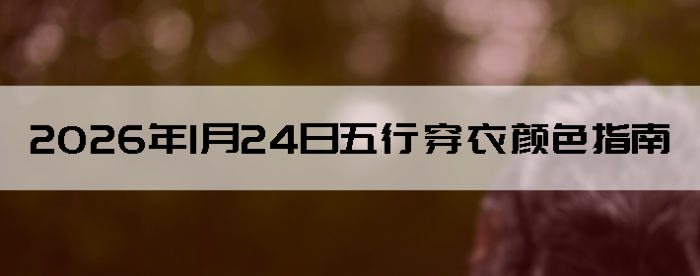 2026��1��24�����д�����ɫָ��