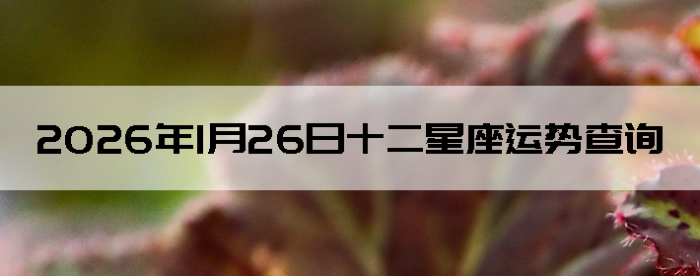 2026��1��26��ʮ���������Ʋ�ѯ