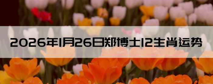 2026��1��26��֣��ʿ12��Ф����