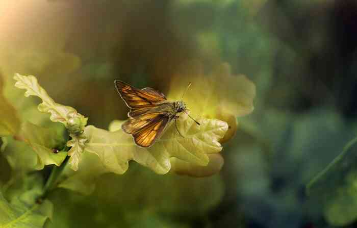 �����������������вƿ��Ƿ���㣿