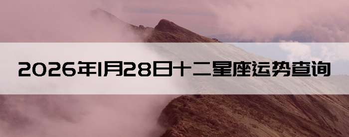 2026��1��28��ʮ���������Ʋ�ѯ