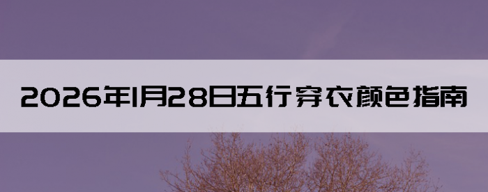 2026��1��28�����д�����ɫָ��