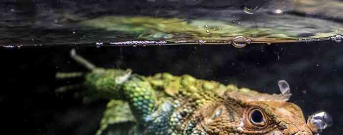 <b>�뻧��ֱ���ų�������̨�ò���</b>