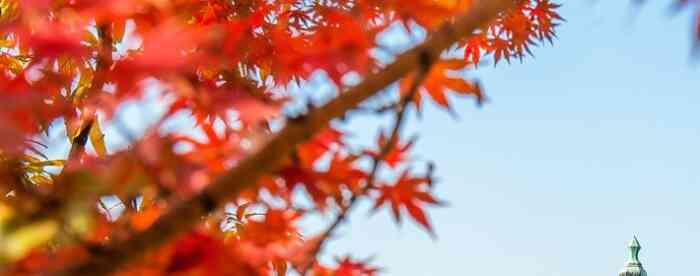 �����˹�������������ֿ�����û�и�����