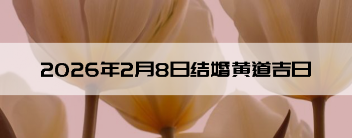 2026��2��8�������ʺϽ����