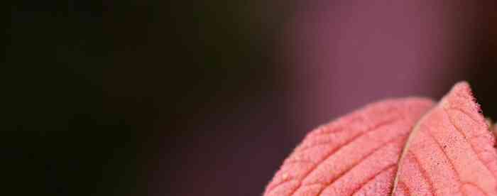 ��������������������Ը������Ƿ�����