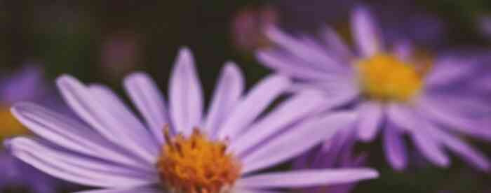 �������������ΰ��չ�������������