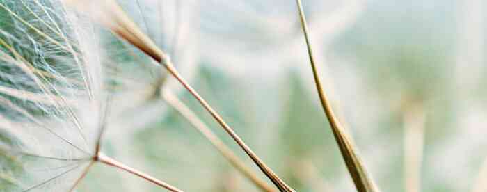 �������������ף�Ԣ���и�����