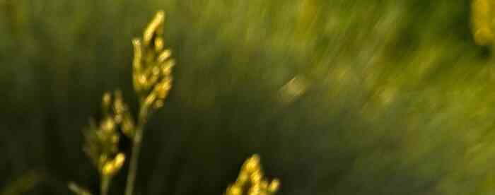 <b>�۲����ķ�ˮ���ӼҾ۲�С����</b>