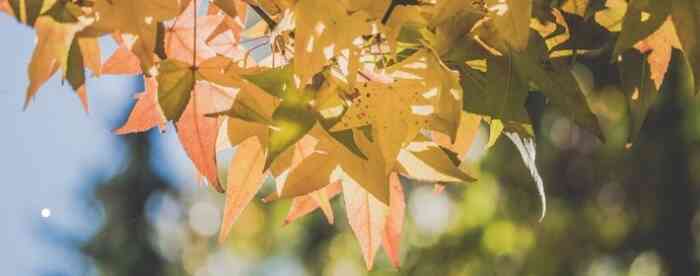 ����������������˲��û�������