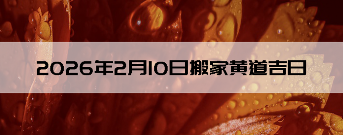 2026��2��10�հ�ҵ���������