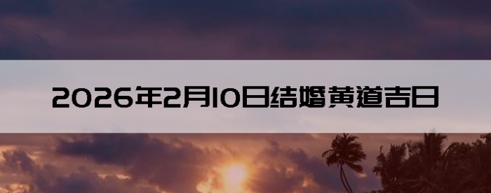 2026��2��10�ս�鼪��������