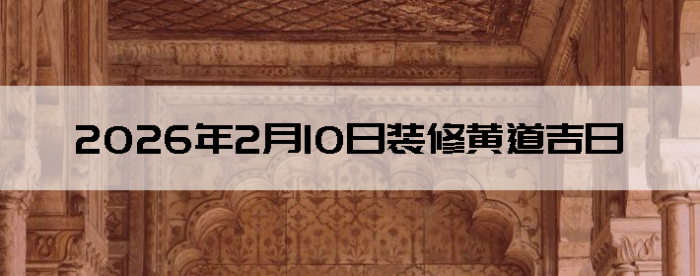 2026��2��10�������ʺ�װ����