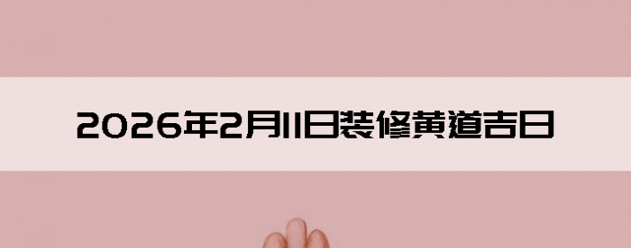 2026��2��11�������ʺ�װ����