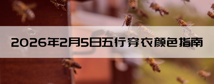 2026��2��5�����д�����ɫָ��