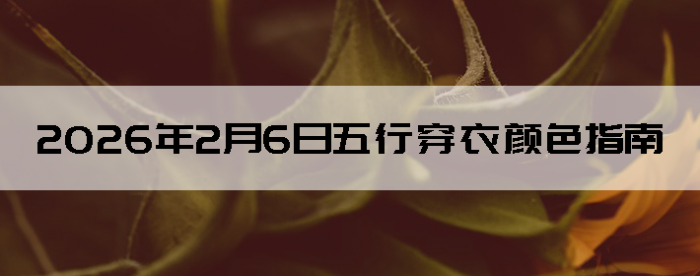 2026��2��6�����д�����ɫָ��