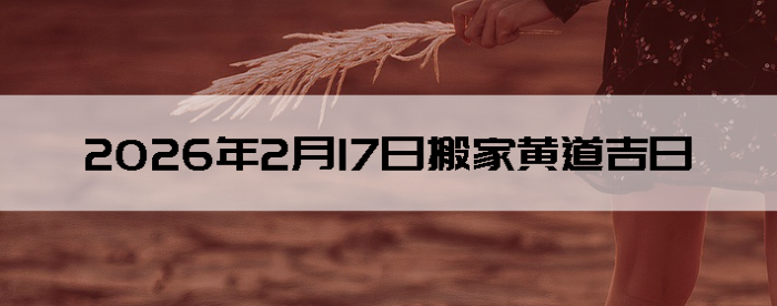 2026��2��17�հ�ҵ���������