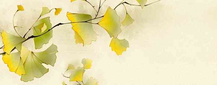 ��Ѱ�������ע���л���������ʲô����