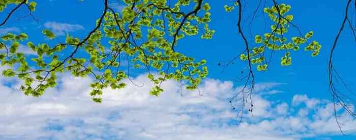 �������������֣��������ְ������