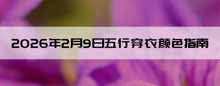 2026��2��9�����д�����ɫָ��