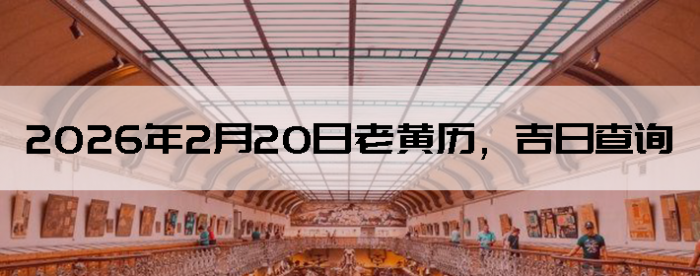 2026��2��20���ϻ��������ղ�ѯ