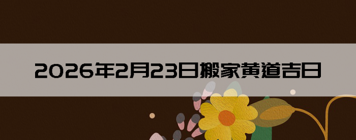 2026��2��23�������ʺϰ����