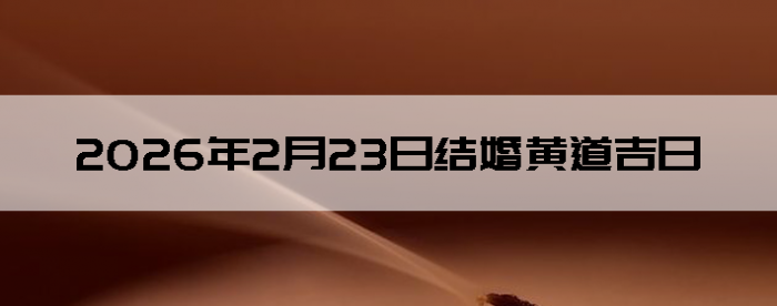 2026��2��23�ս������Ӳ�ѯ