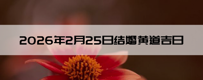 2026��2��25����������ô��