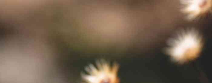 ����������������������Ƿ���в��ˣ�