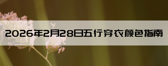 2026��2��28�����д�����ɫָ��