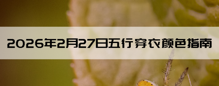 2026��2��27�����д�����ɫָ��