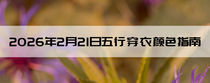 2026��2��21�����д�����ɫָ��