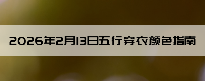 2026��2��13�����д�����ɫָ��