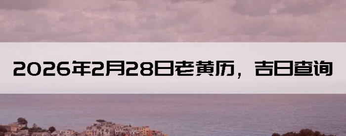 2026��2��28���ϻ��������ղ�ѯ