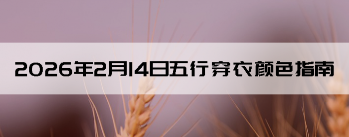 2026��2��14�����д�����ɫָ��