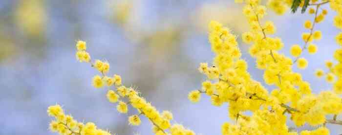 ����������������˹ټ�����ô����