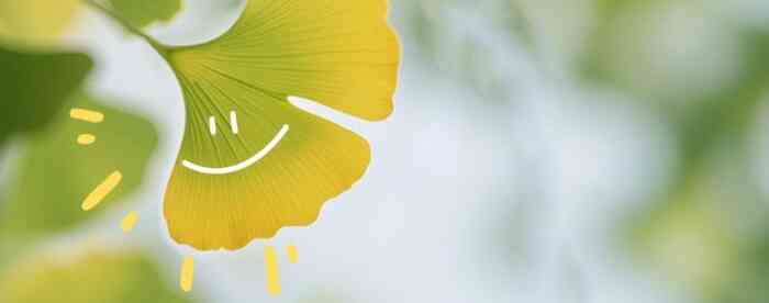 �������������Ե����᲻����2026