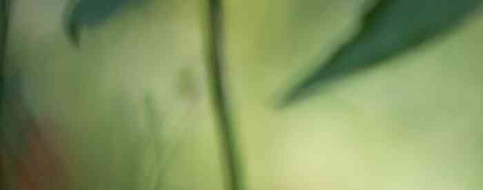 <b>���������������ô���Լ�����</b>