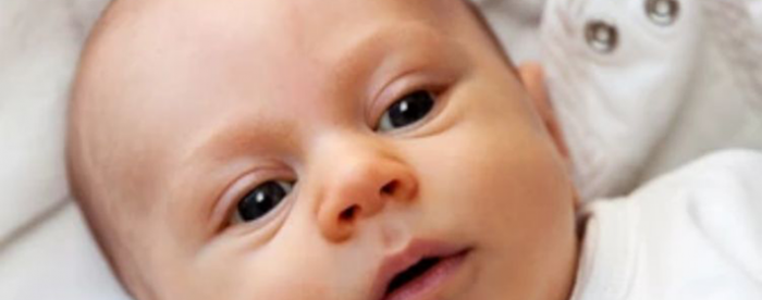 ���ֵ��ǻۣ�ȡ�������𱻺���