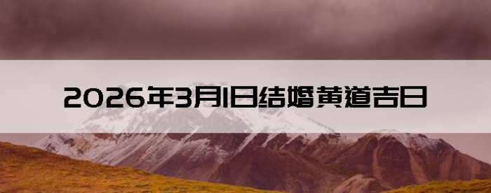 2026��3��1�ս�鼪��������