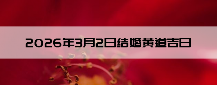 2026��3��2�ս�鼪�ղ�ѯ