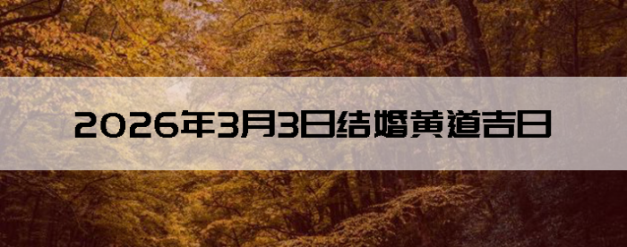 2026��3��3����������ô��