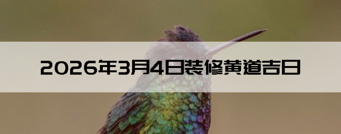 2026��3��4��װ�޺����Ӳ�ѯ