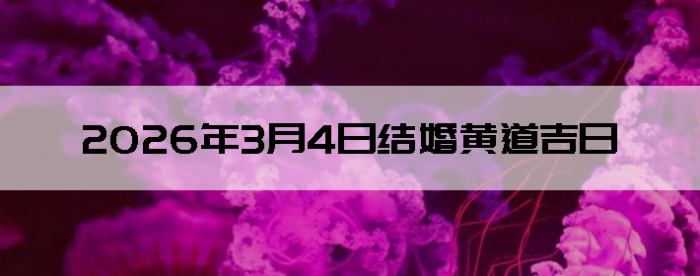 2026��3��4�ս������Ӳ�ѯ