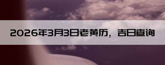 2026��3��3���ϻ��������ղ�ѯ