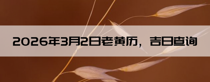 2026��3��2���ϻ��������ղ�ѯ