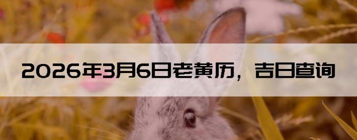 2026��3��6���ϻ��������ղ�ѯ