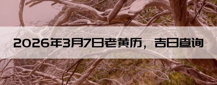 2026��3��7���ϻ��������ղ�ѯ