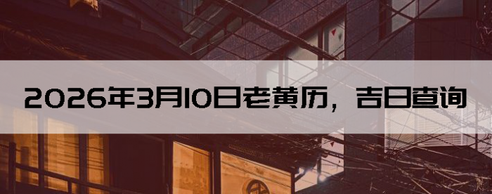 2026��3��10���ϻ��������ղ�ѯ