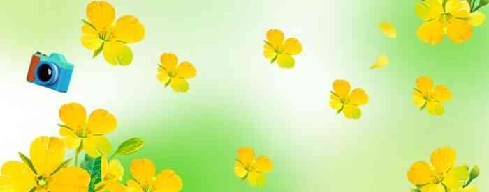 ���������������������ָ��ٶ�